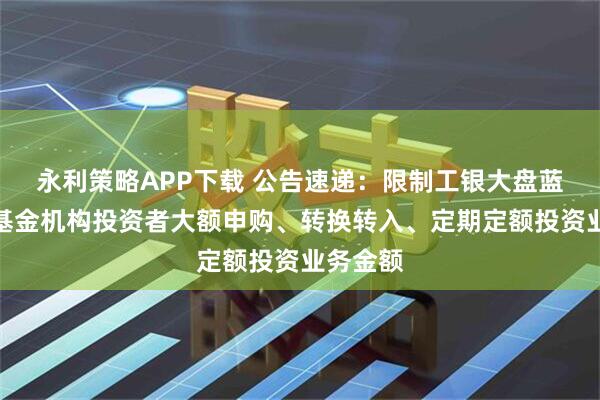 永利策略APP下载 公告速递:限制工银大盘蓝筹混合基金机构投资者大额申购、转换转入、定期定额投资业务金额