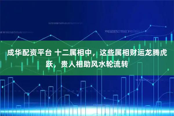 成华配资平台 十二属相中，这些属相财运龙腾虎跃，贵人相助风水轮流转